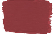 Amaranth Root