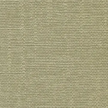 Dianne Birch Textured Shiny Lines - Kucker Haney Paint Co. Dianne Birch Textured Shiny Lines
